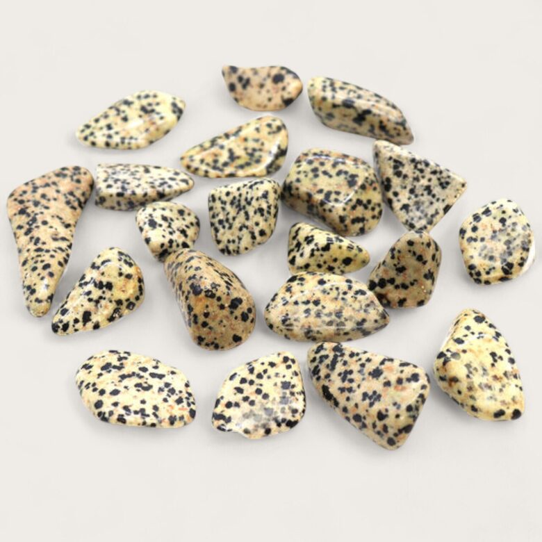 Dalmāciešu jašma 1 gab